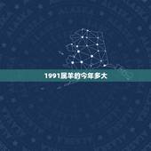 1991属羊的今年多大，1991年出生的今年几岁