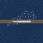 1996年最佳婚配属相，1996年属鼠与什么属相相配