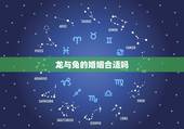 龙与兔的婚姻合适吗，龙兔相害到底有多严重