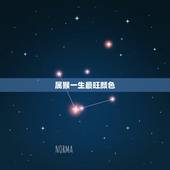属猴一生最旺颜色，1980年猴命中注定