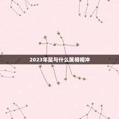 2023年鼠与什么属相相冲，生肖鼠和什么生肖相冲？