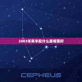 2003年男羊配什么属相更好，03年属羊的哪一年结婚更好