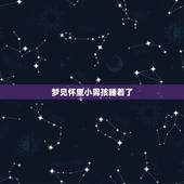 梦见怀里小男孩睡着了，我梦见抱着两个小男孩，他们都在我的怀里睡着了。这