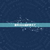 属牛2022虚岁多大了，牛人2022年全年的运程
