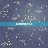 属狗的怕什么生肖，属狗与什么属相相克