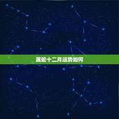 属蛇十二月运势如何，蛇人2022 年12个运程