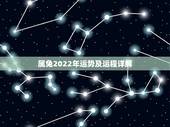 属兔2022年运势及运程详解，2022属兔每月运势