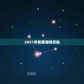2021年各属相桃花劫，2021年什么属相犯太岁或者冲太岁
