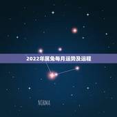 2022年属兔每月运势及运程，87年属兔的2021年运势每月运势