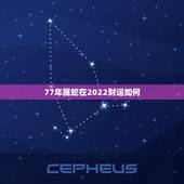77年属蛇在2022财运如何 属蛇2022年能发财吗