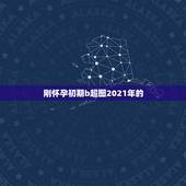 刚怀孕初期b超图2021年的，2021年怀孕50天查血能查出男孩女孩吗