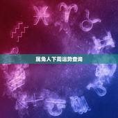 属兔人下周运势查询，属兔今日运势及运程