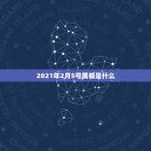 2021年2月5号属相是什么，2021年2月5日上午10点5分出生的五