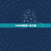 1988年属龙一生三劫 属龙88年的一生贵人