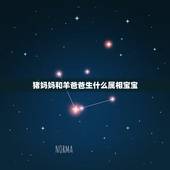 猪妈妈和羊爸爸生什么属相宝宝，属猪和羊生个什么属相的宝宝