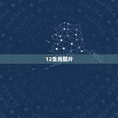 12生肖图片，给我十二生肖闯江湖的每个生肖的图片