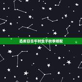 乙亥日壬午时生于秋季婚配，求人看八字