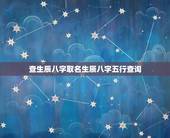 查生辰八字取名生辰八字五行查询，起名查询生辰八字