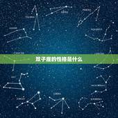 双子座的性格是什么，双子座有什么特点？性格是什么？