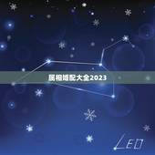 属相婚配大全2023，属相婚配