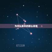 为什么属羊的那么命苦，属羊的人名人为什么历害