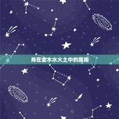 肖在金木水火土中的属相，十二生肖里面的动物都是什么金木水火土