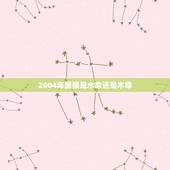 2004年属猴是水命还是木命，2004年属猴买什么戴运气好