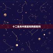 十二生肖中属鼠和狗般配吗，属狗的跟属鼠的合不合