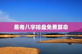 易奇八字排盘免费算命，奇易八字算命