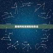 属相鸡和龙婚配和命运，鸡和龙相配婚姻如何