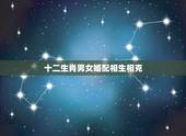 十二生肖男女婚配相生相克，十二生肖婚配相生相克