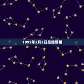 1995年2月2日是啥属相，1992年2月2日出生的人是什么属相