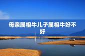 母亲属相牛儿子属相牛好不好，母亲属牛生个什么属相孩子好