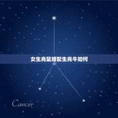 女生肖鼠婚配生肖牛如何，男属牛女属鼠婚配好吗