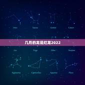 几月的龙是烂龙2022，烂晖龙武器怎么做