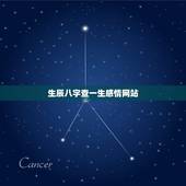 生辰八字查一生感情网站，在线查生辰八字，算事业婚姻命运