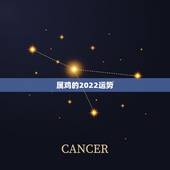 属鸡的2022运势，1981年属鸡女2021年运势及运程每月运程