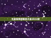 牛宝宝男孩取名大全2022款，何姓牛宝宝取名大全2021款