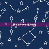 属羊明年2022运势如何，2022 属羊运气