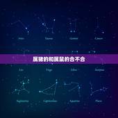 属猪的和属鼠的合不合，属猪与属鼠相配吗