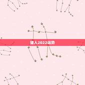 猪人2022运势，2022年属猪人的全年运势