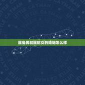 属兔男和属蛇女的婚姻怎么样，男属兔女属蛇婚姻状况