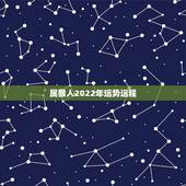 属猴人2022年运势运程，属猴人2022年运势及财运