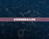 女鸡男猴婚配怎么样啊，男猴女鸡相配吗