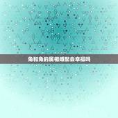 兔和兔的属相婚配会幸福吗，属蛇和属兔的合不合