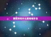 属蛇的和什么属相相不合，属蛇的与什么属相不能在一起？