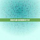 属猪与属马的婚配好不好，女属猪和男属马配吗？