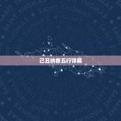 己丑纳音五行详解，纳音五行详解