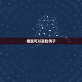哪里可以买到鸽子，哪里能买到好的信鸽？