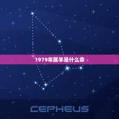 1979年属羊是什么命，1979年出生是什么命？命好吗